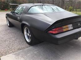 1980 Chevrolet Camaro (CC-1127175) for sale in Cadillac, Michigan