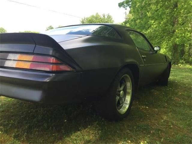 1980 Chevrolet Camaro (CC-1127175) for sale in Cadillac, Michigan