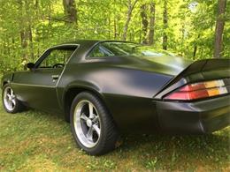 1980 Chevrolet Camaro (CC-1127175) for sale in Cadillac, Michigan