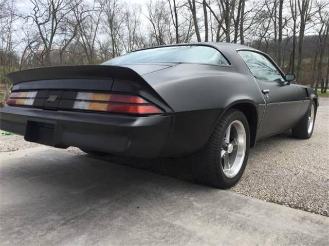 1980 Chevrolet Camaro (CC-1127175) for sale in Cadillac, Michigan