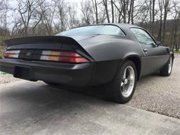 1980 Chevrolet Camaro (CC-1127175) for sale in Cadillac, Michigan