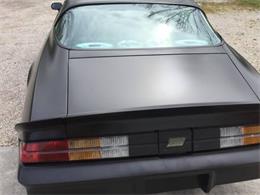 1980 Chevrolet Camaro (CC-1127175) for sale in Cadillac, Michigan