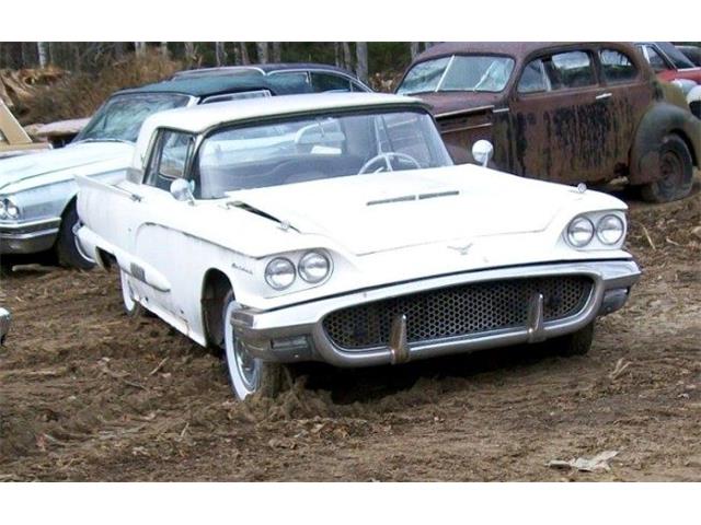 1958 Ford Thunderbird (CC-1120726) for sale in Cadillac, Michigan