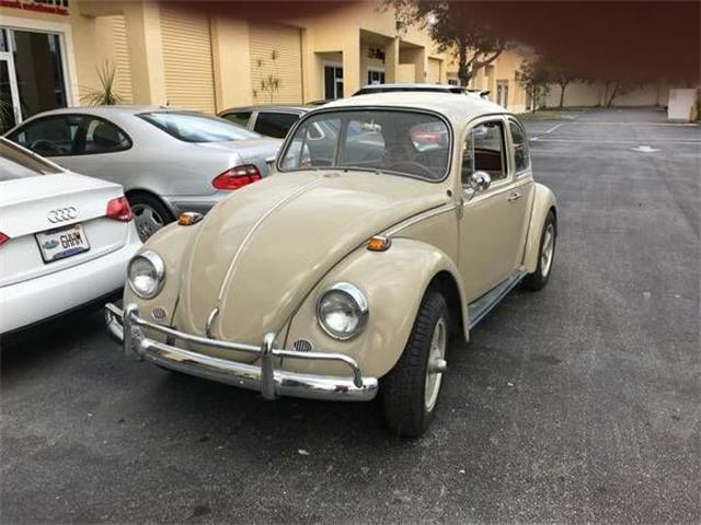 1967 Volkswagen Beetle (CC-1120744) for sale in Cadillac, Michigan
