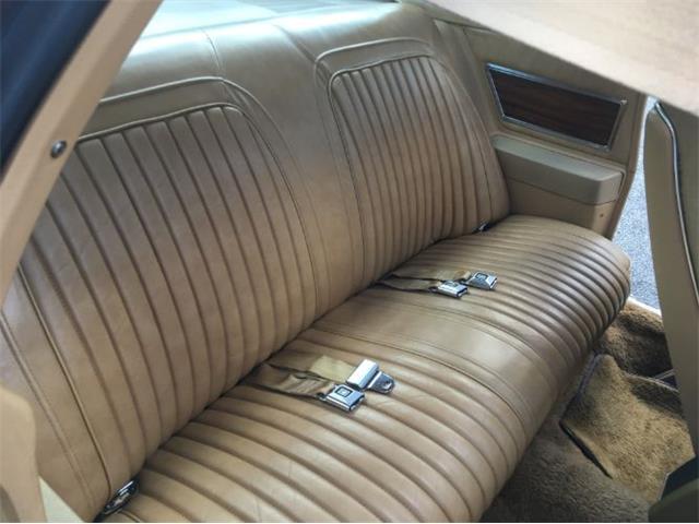 1976 Pontiac Grand Prix (CC-1127545) for sale in Cadillac, Michigan