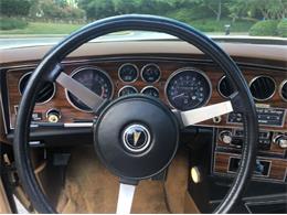 1976 Pontiac Grand Prix (CC-1127545) for sale in Cadillac, Michigan