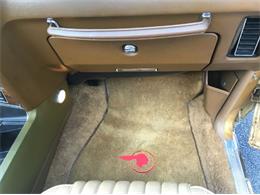 1976 Pontiac Grand Prix (CC-1127545) for sale in Cadillac, Michigan