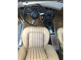 1976 Pontiac Grand Prix (CC-1127545) for sale in Cadillac, Michigan