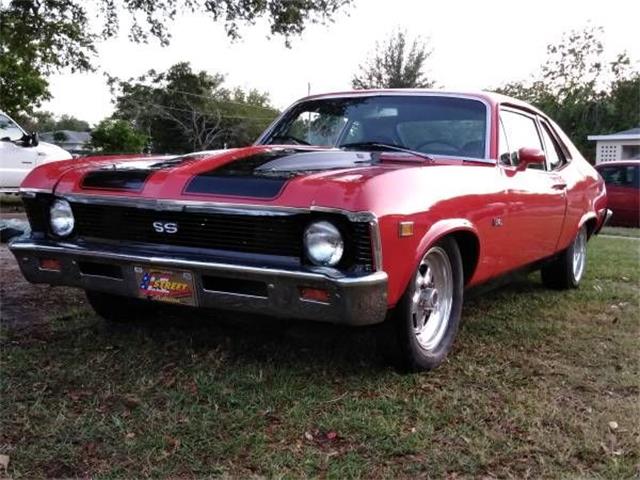 1969 Chevrolet Nova (CC-1127573) for sale in Cadillac, Michigan