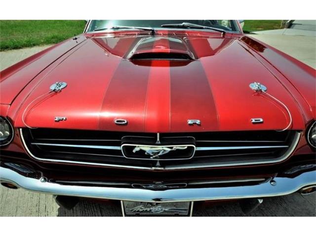 1964 Ford Mustang (CC-1127575) for sale in Cadillac, Michigan
