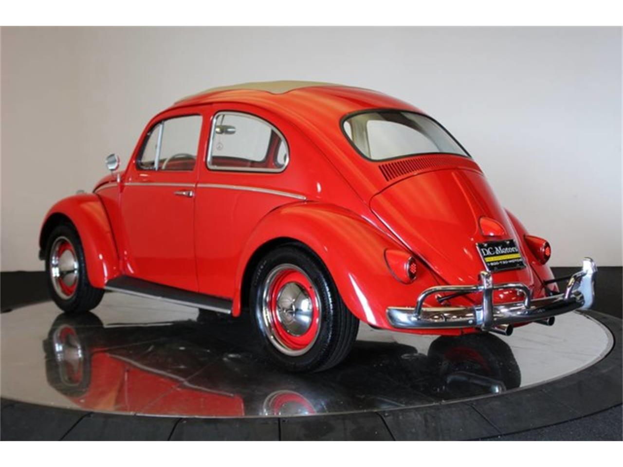 1960 Volkswagen Beetle For Sale 