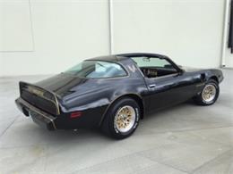 1979 Pontiac Firebird Trans Am (CC-1128345) for sale in Mundelein, Illinois