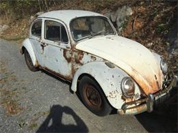 1965 Volkswagen Beetle (CC-1120880) for sale in Cadillac, Michigan