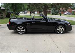 2004 Ford Mustang Cobra (CC-1128866) for sale in Holland, Ohio