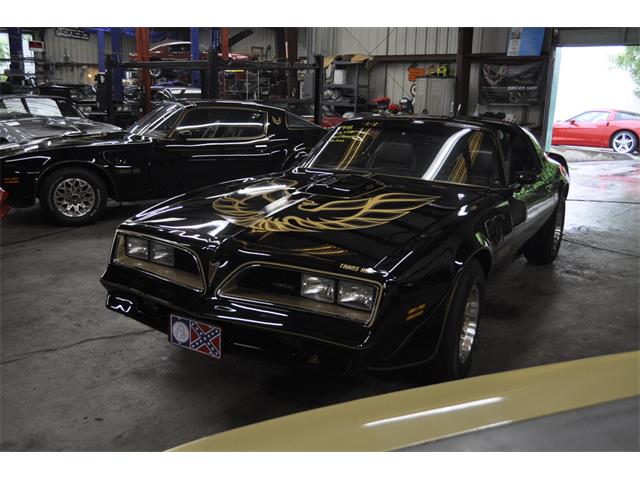 1978 Pontiac Firebird Trans Am (CC-1128870) for sale in Miami, Florida