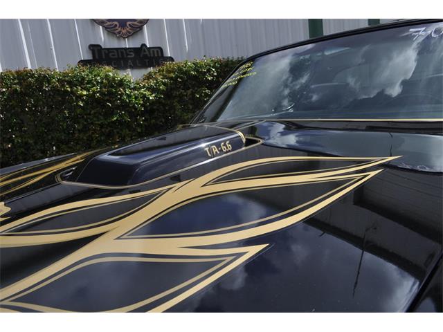 1978 Pontiac Firebird Trans Am (CC-1128870) for sale in Miami, Florida
