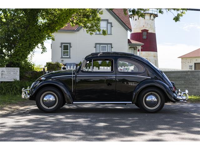1962 Volkswagen Beetle (CC-1129955) for sale in Stratford, Connecticut