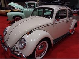 1962 Volkswagen Beetle (CC-1131445) for sale in Reno, Nevada