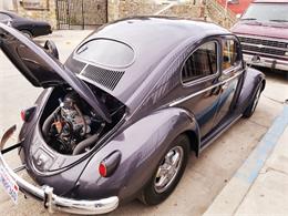 1956 Volkswagen Beetle (CC-1130237) for sale in  Agoura Hills, California