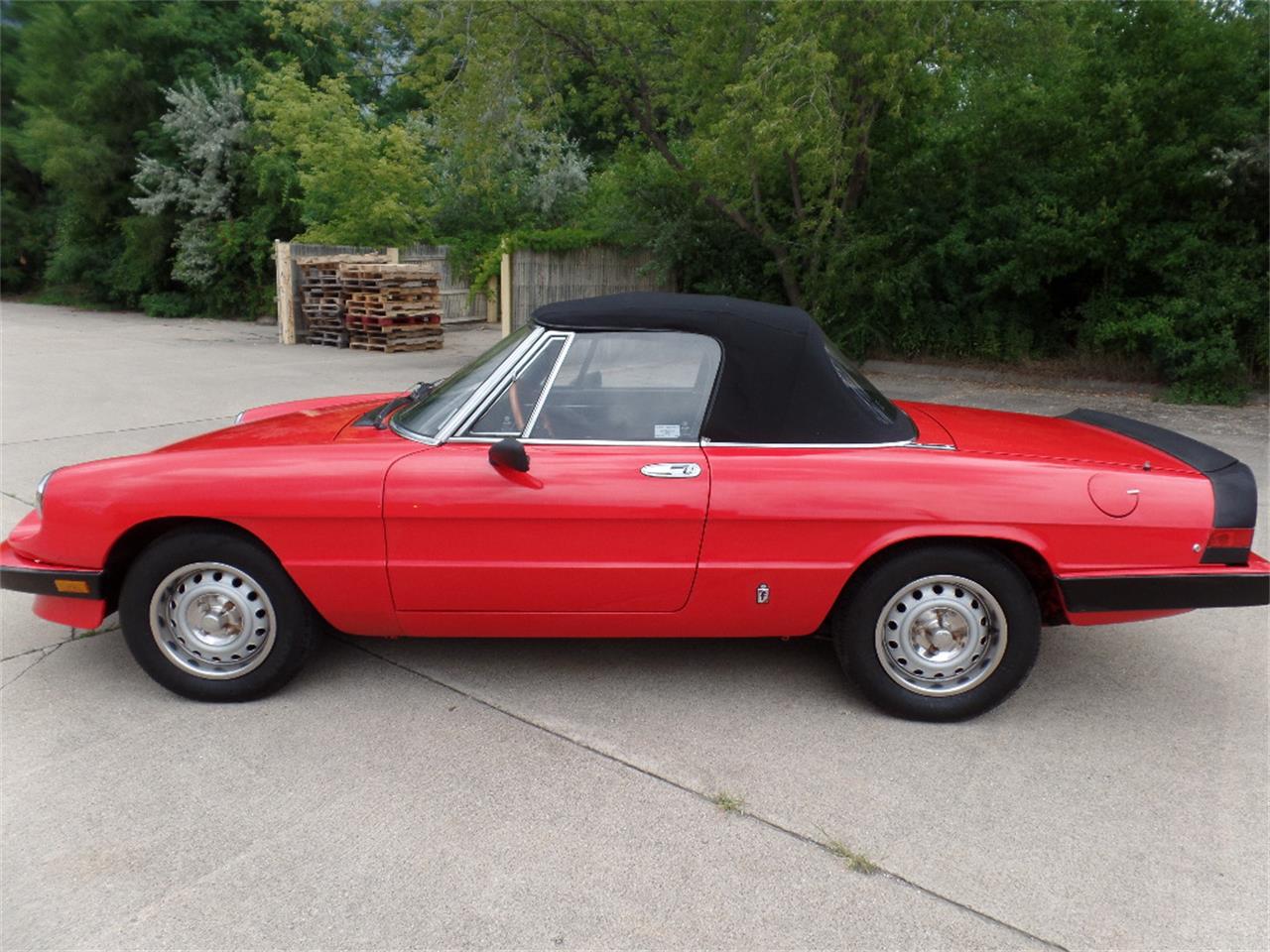 1985 Alfa Romeo Spider for Sale | ClassicCars.com | CC-1132525