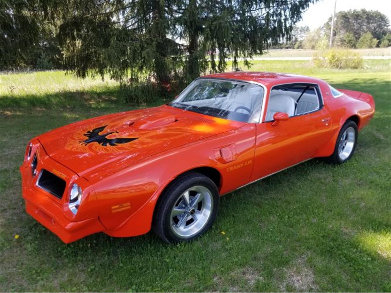 1976 Pontiac Firebird Trans Am For Sale 