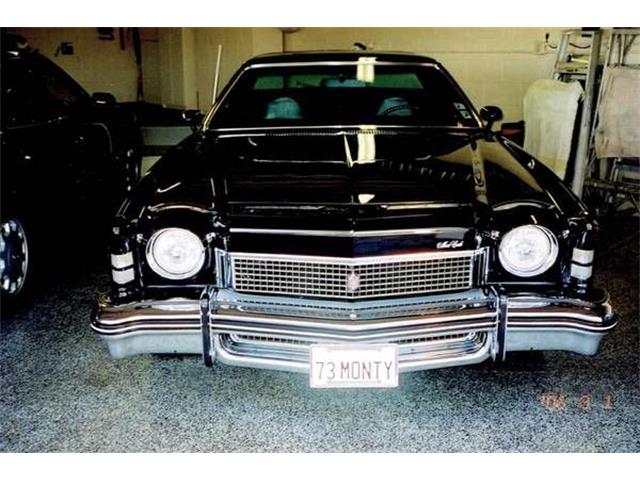 1973 Chevrolet Monte Carlo (CC-1132905) for sale in Cadillac, Michigan