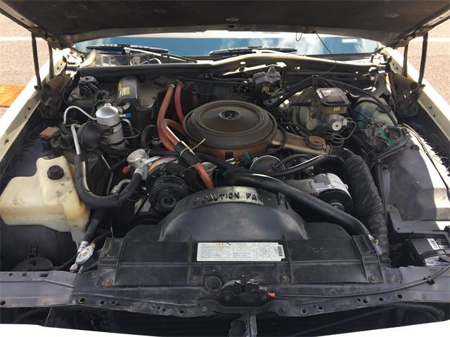 1983 Oldsmobile Delta 88 Royale (CC-1132933) for sale in Havre de Grace, Maryland