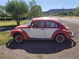 1974 Volkswagen Super Beetle (CC-1133129) for sale in Cadillac, Michigan