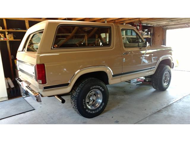 1984 Ford Bronco (CC-1133170) for sale in Minneapolis, Kansas