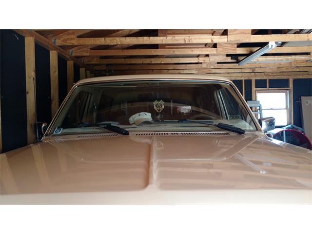 1984 Ford Bronco (CC-1133170) for sale in Minneapolis, Kansas