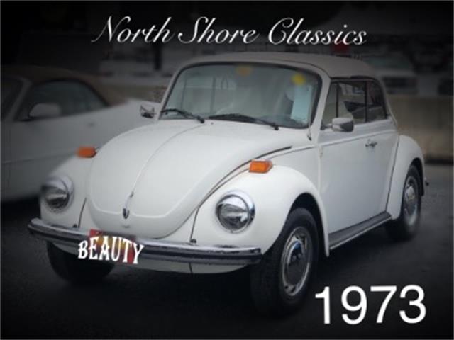 1973 Volkswagen Beetle (CC-1130343) for sale in Mundelein, Illinois