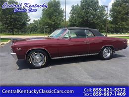 1967 Chevrolet Chevelle SS (CC-1133537) for sale in Paris , Kentucky