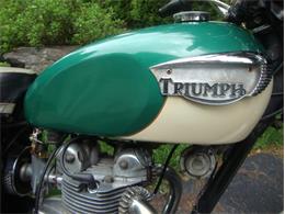 1967 Triumph Tiger (CC-1133775) for sale in Saratoga Springs, New York