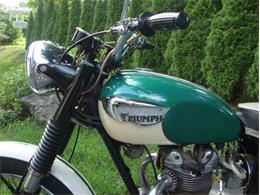 1967 Triumph Tiger (CC-1133775) for sale in Saratoga Springs, New York