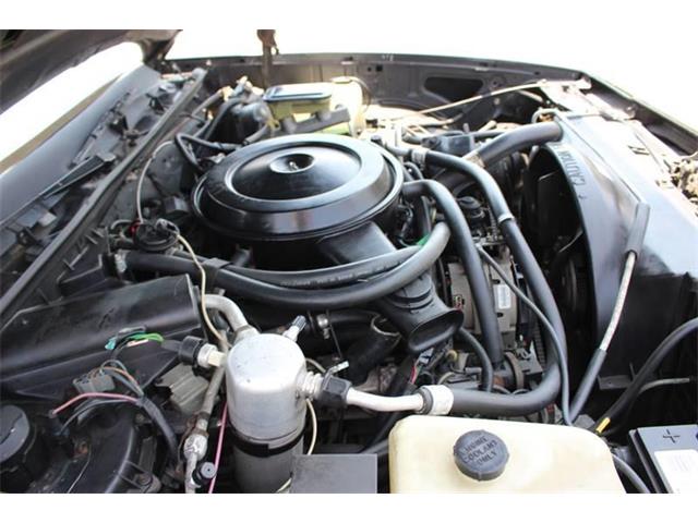 1986 Chevrolet El Camino (CC-1130392) for sale in La Verne, California