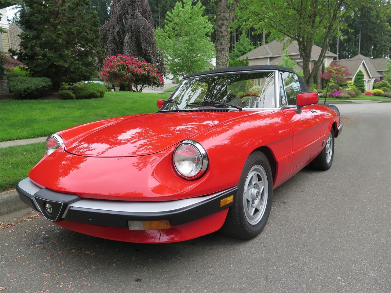 1983 Alfa Romeo Spider Veloce For Sale Classiccars Com Cc 1133985