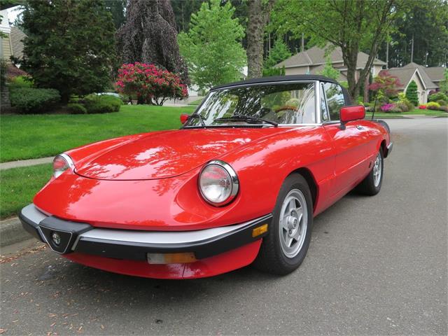 1983 Alfa Romeo Spider Veloce (CC-1133985) for sale in Bothell, Washington