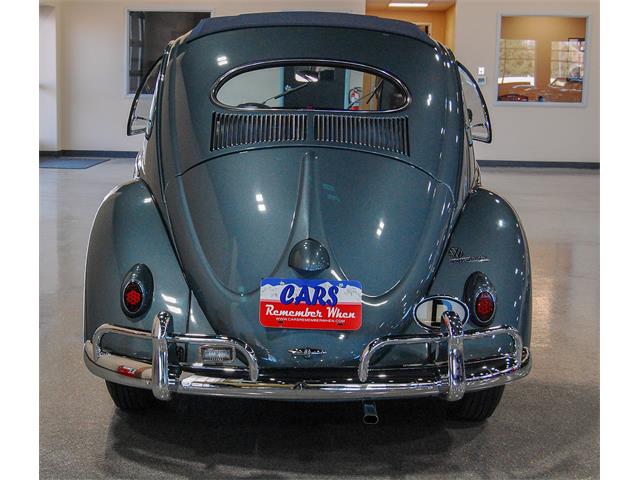 1955 Volkswagen Beetle For Sale Cc 1134141