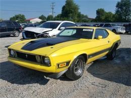 1973 Ford Mustang (CC-1134650) for sale in Cadillac, Michigan