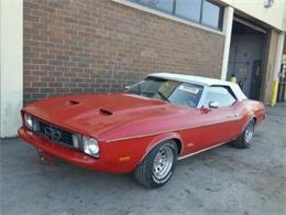 1973 Ford Mustang (CC-1134653) for sale in Cadillac, Michigan