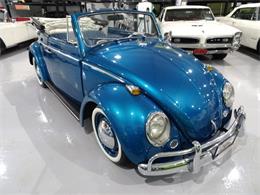 1961 Volkswagen Beetle (CC-1135114) for sale in Saratoga Springs, New York