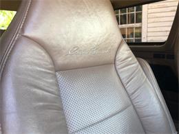 1994 Ford Bronco (CC-1135155) for sale in Milford City, Connecticut