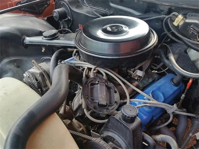 1977 Buick Century (CC-1136017) for sale in Auburn, Indiana