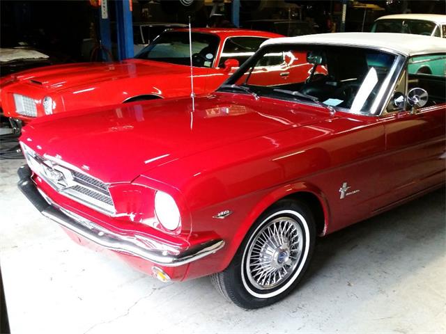 1965 Ford Mustang (CC-1136157) for sale in Stratford, New Jersey