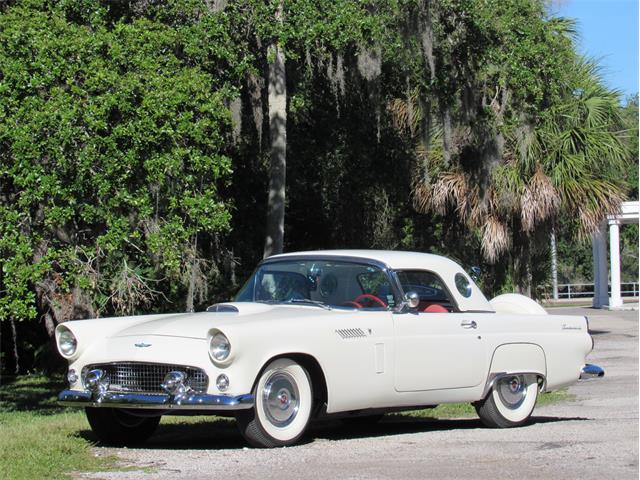 1956 Ford Thunderbird (CC-1136321) for sale in Sarasta, Florida