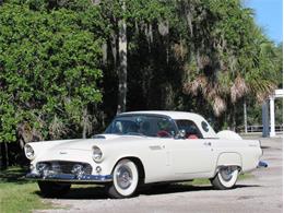 1956 Ford Thunderbird (CC-1136321) for sale in Sarasta, Florida