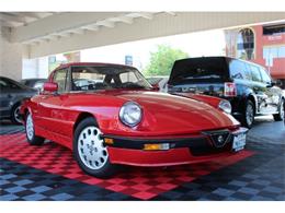 1988 Alfa Romeo Quadrifoglio (CC-1136402) for sale in Sherman Oaks, California