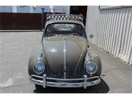 1963 Volkswagen Beetle (CC-1136743) for sale in Morgan Hill, California