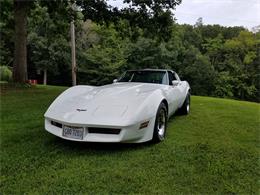 1980 Chevrolet Corvette (CC-1136775) for sale in Cambridge, Ohio