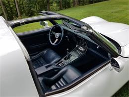 1980 Chevrolet Corvette (CC-1136775) for sale in Cambridge, Ohio